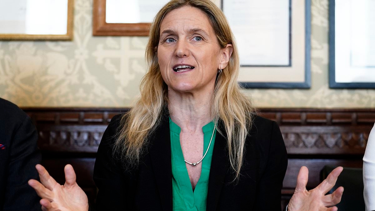 EXCLUSIVE Fresh blow to assisted suicide bill as Government admits errors in crucial impact assessment