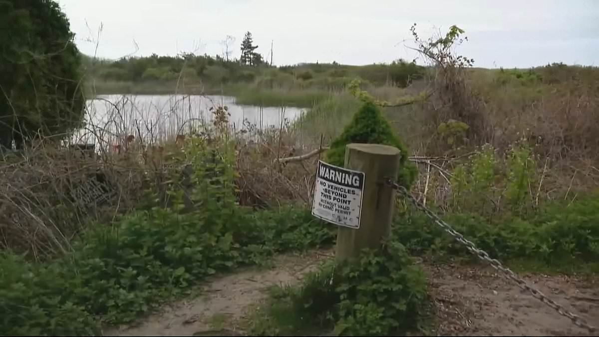 Authorities make shocking discovery near Taylor Swift's Rhode Island holiday home