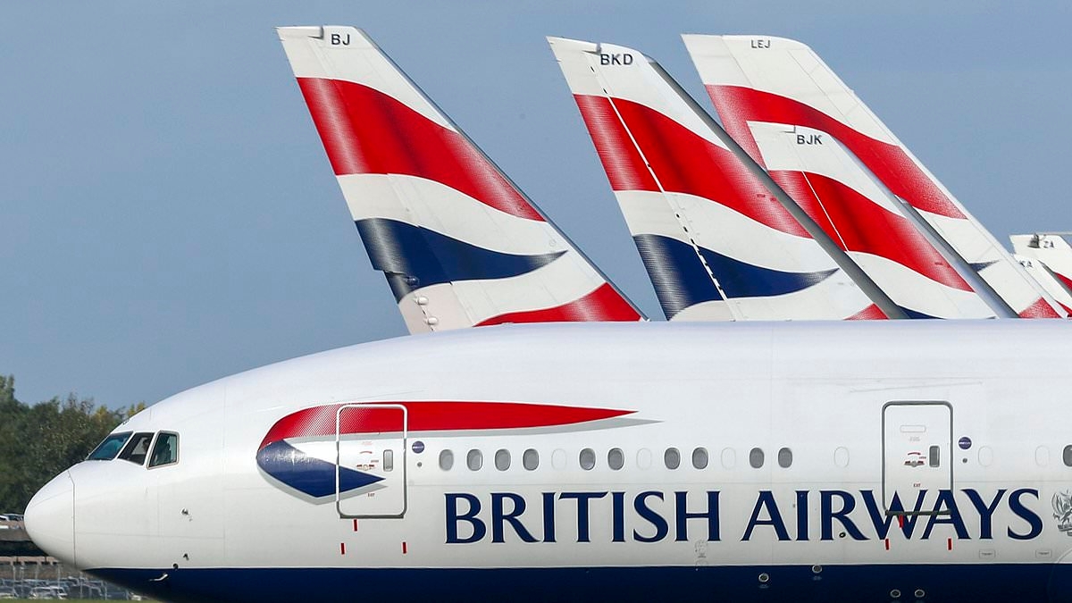 British Airways fined more than £3.2m after staff suffered brain bleed and broken back while working at Heathrow