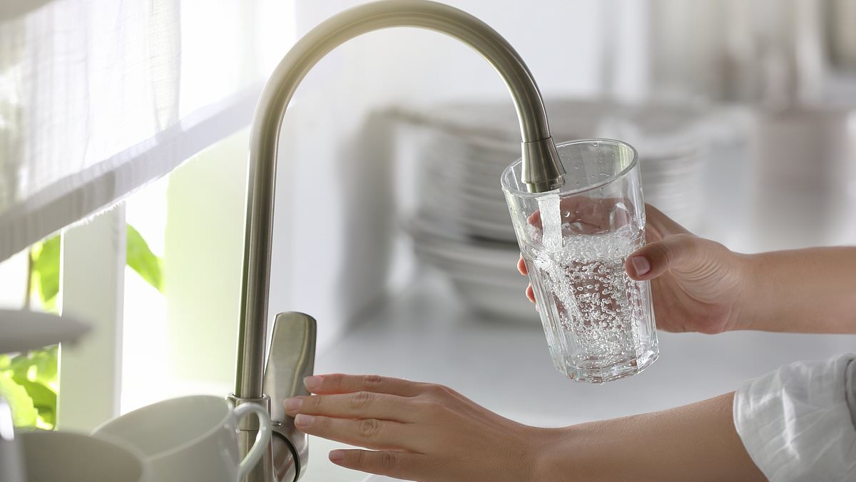 Florida becomes second US state to take drastic public health measure that will affect every household