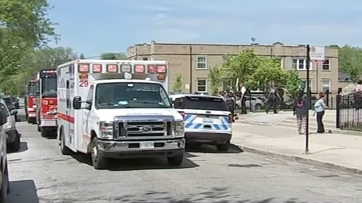 Chicago elementary school kids are rushed to hospital after eating weed-laced cookies in class