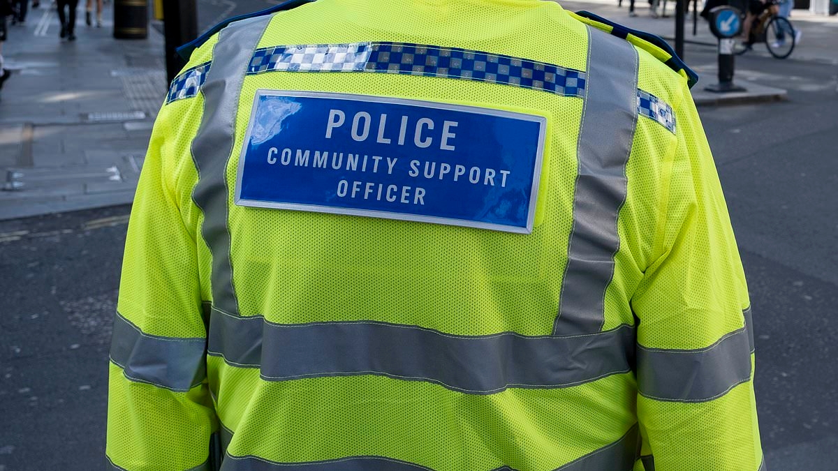 Paedophile, 41, is snagged eight years after crimes against young girls... after applying for police force