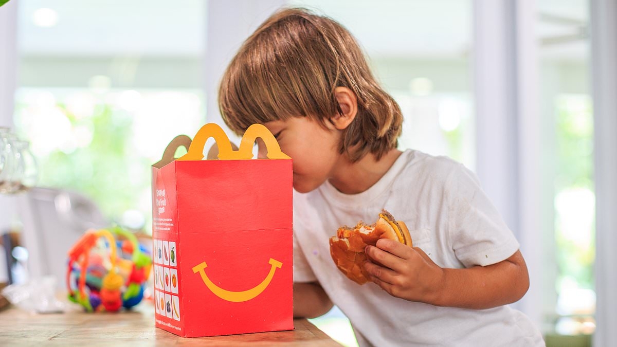 McDonald's fans rejoice over return of fan-favorite Happy Meal toy: 'Just left my full-blown adult job to get one'