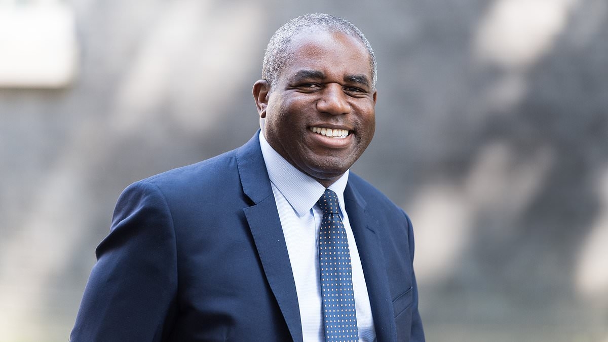 TOM UTLEY: My 275-mile taxi ride in India ended with the driver in tears - but it was a happier ending than David Lammy's