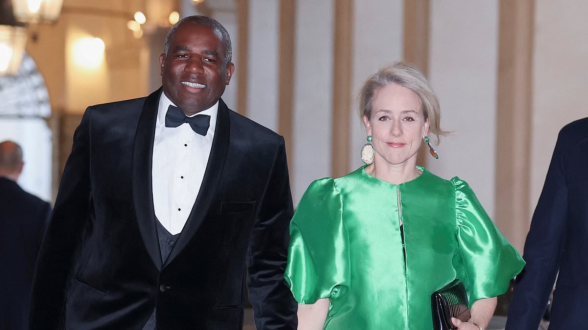 Foreign Secretary says he and his wife are victims of theft but the French taxi driver says David Lammy refused to pay... so who's taking who for a ride? GUY ADAMS investigates