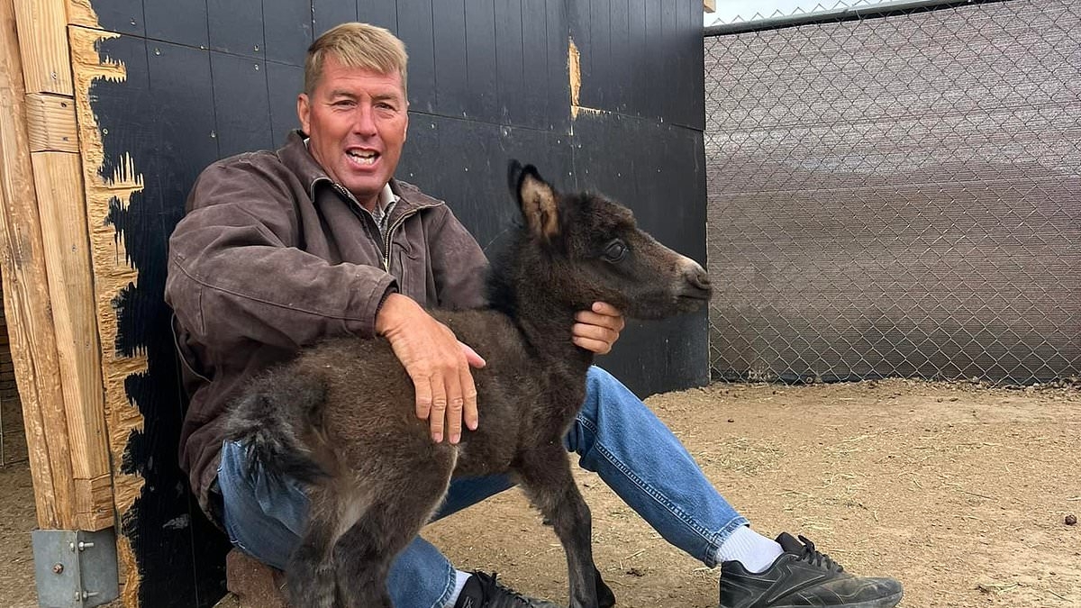 Veterinarian's cause of death revealed after he disappeared amid viral footage of him beating a horse