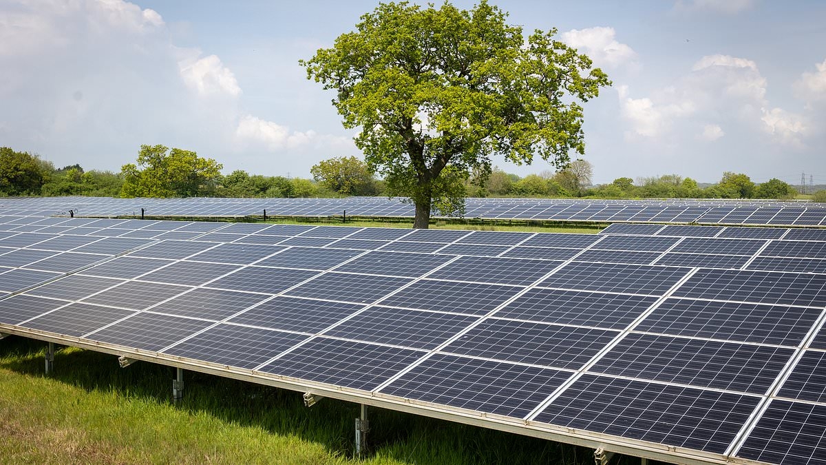 China has installed kill switches in solar panels sold to the West