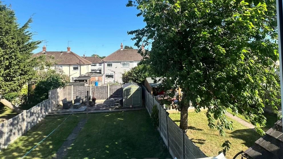 Warring neighbours spend ten years feuding over a tree that blocks the sun out of one's garden... So, who do YOU think is in the right?
