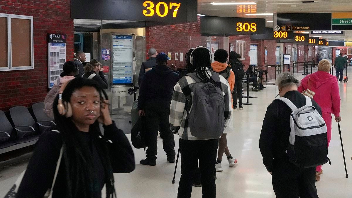 Mass travel chaos sparks MAYHEM in America's busiest city in worst in '40 years strike'