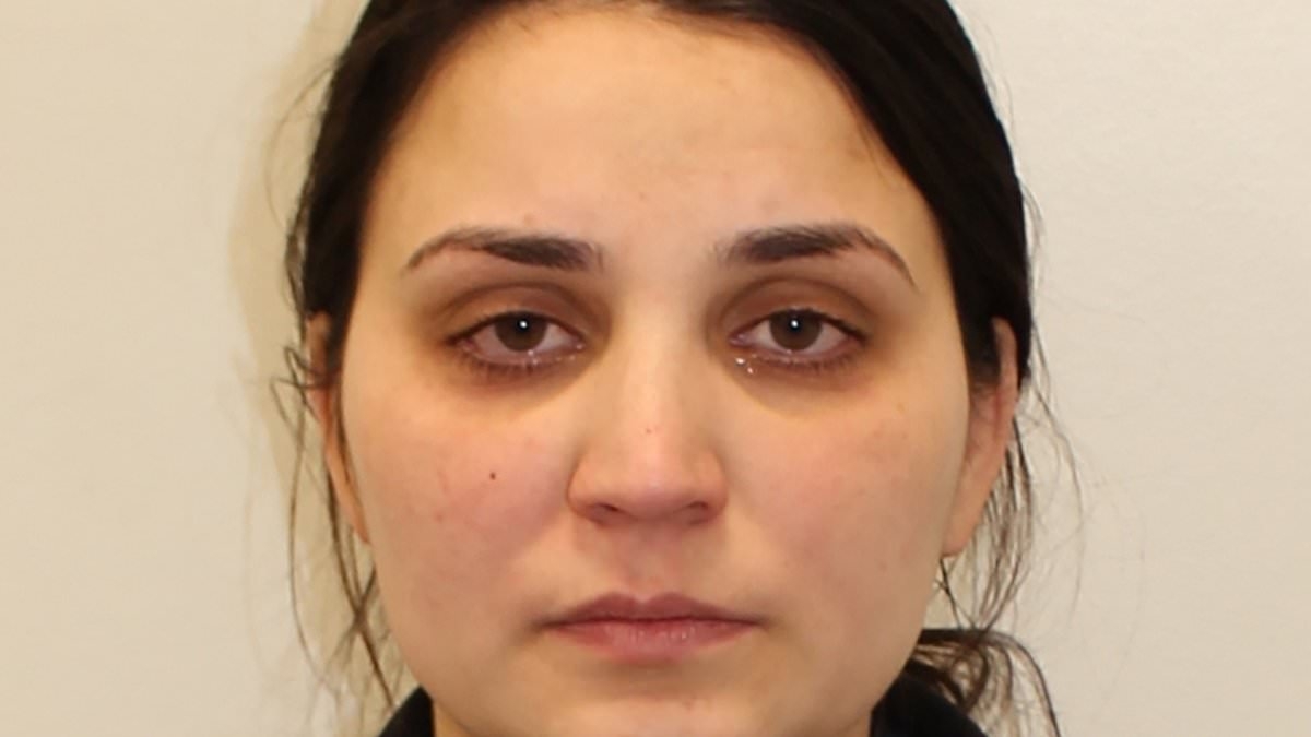 EXCLUSIVE Heavily pregnant burglar posing as cleaner stole jewels worth £500k from £105 million mansion that's London's second largest home after Buckingham Palace