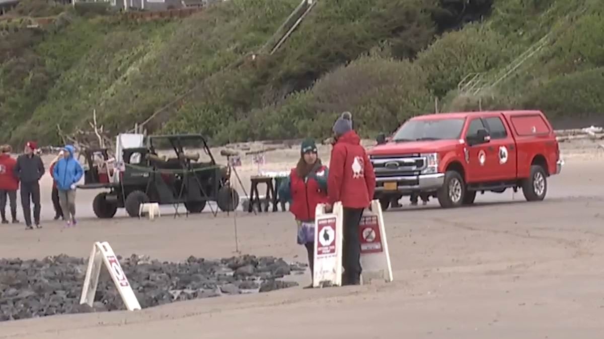 BREAKING NEWS Frantic search for missing Oregon boat after it fired five flares... then vanished