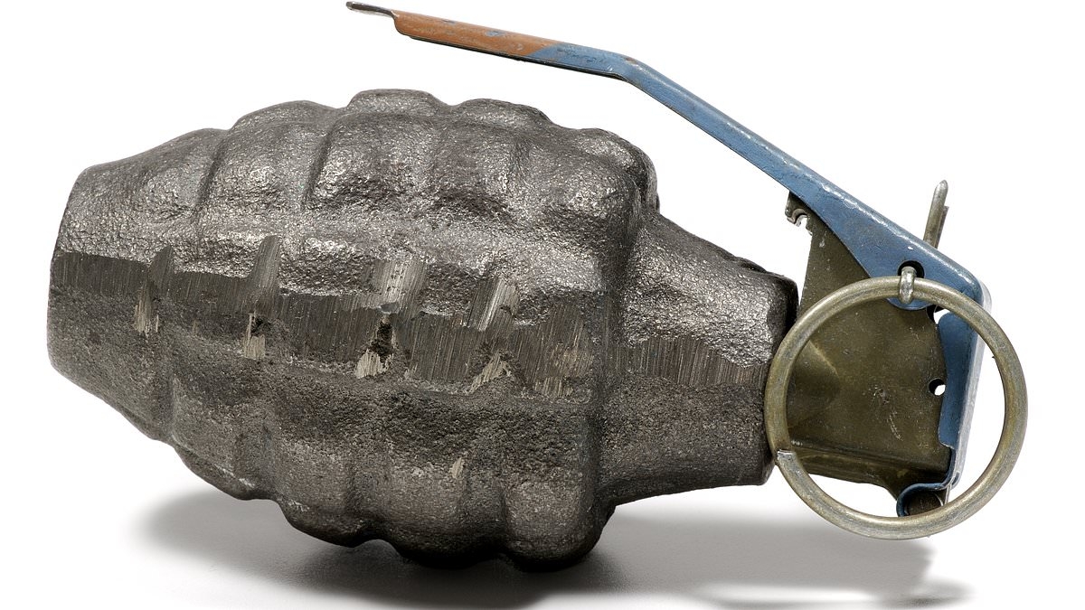 Primary school is evacuated after pupil brings hand grenade in for 'show-and-tell' assembly - sparking panic, with Army experts called in