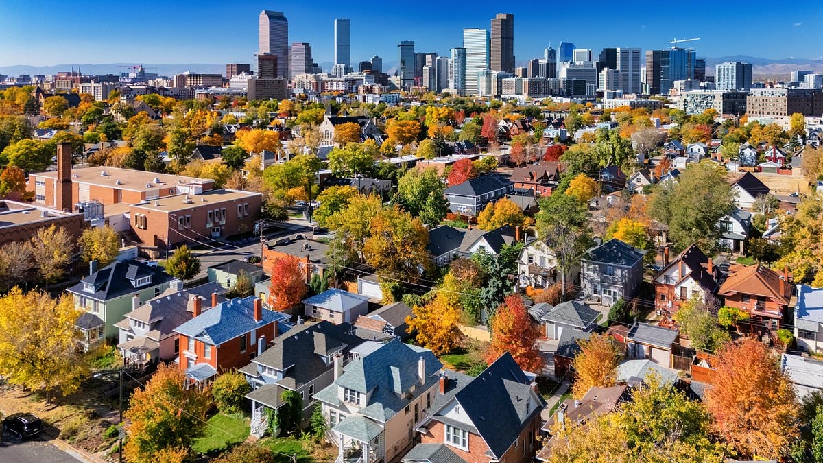 Panic as major US city's housing boom collapses: Owners rush to sell... prices plummet... and experts warn 'unprecedented' crisis is spreading