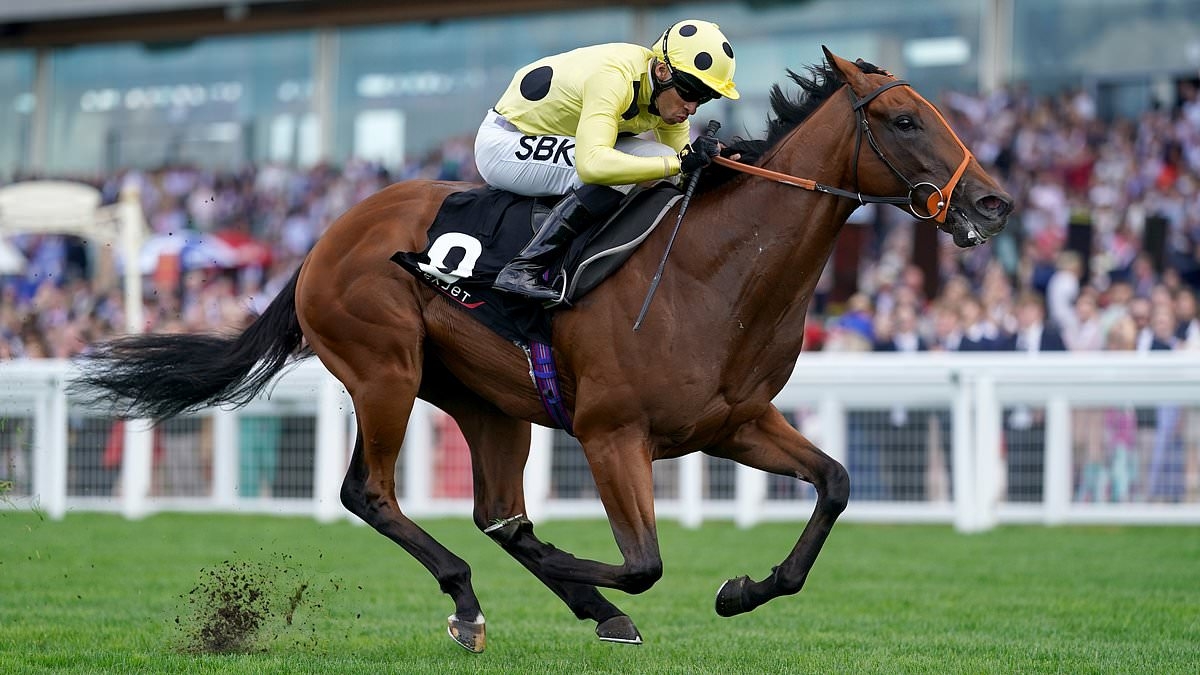 Robin Goodfellow's racing tips: Best bets for Saturday, May 17