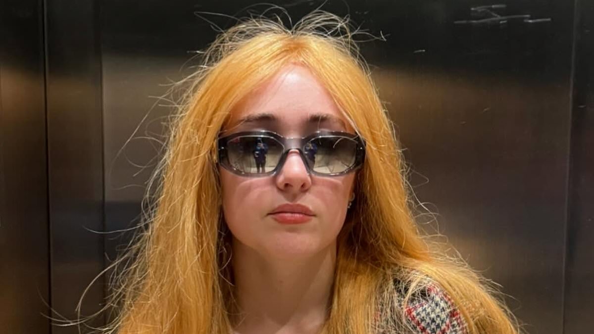 Grammy-winning singer mistaken by fans for fraudster Anna Delvey in wild wig