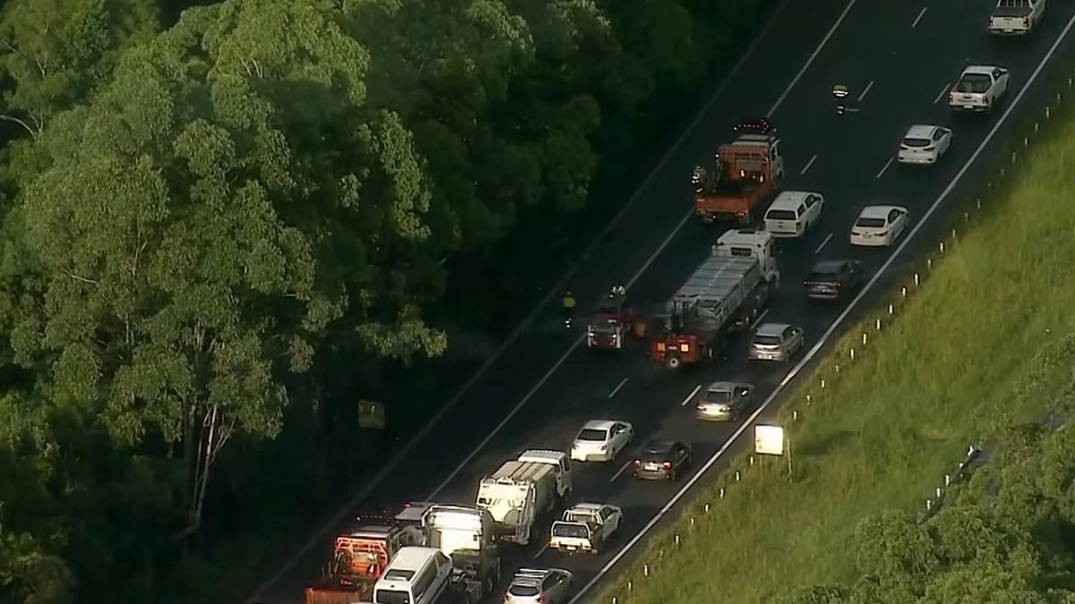 Major update after truckie brought chaos to a busy highway and left 300 vehicles with punctured tyres