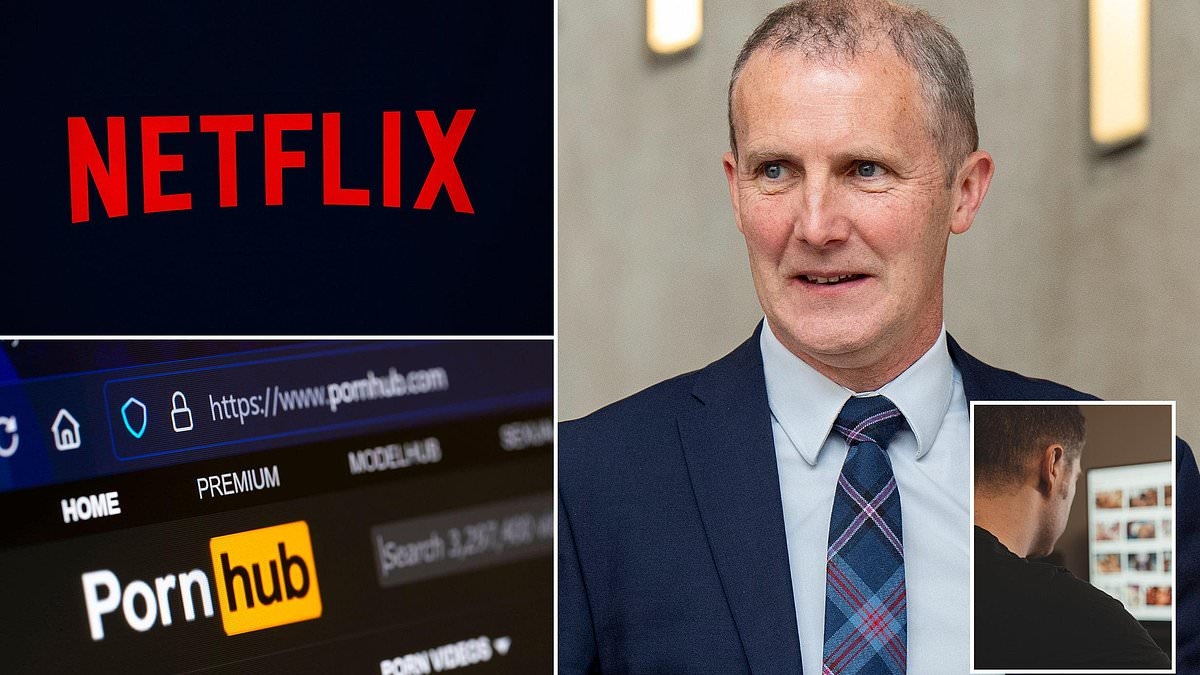 EXCLUSIVE Netflix, porn and gambling websites viewed on civil servants' laptops as majority continue to WFH