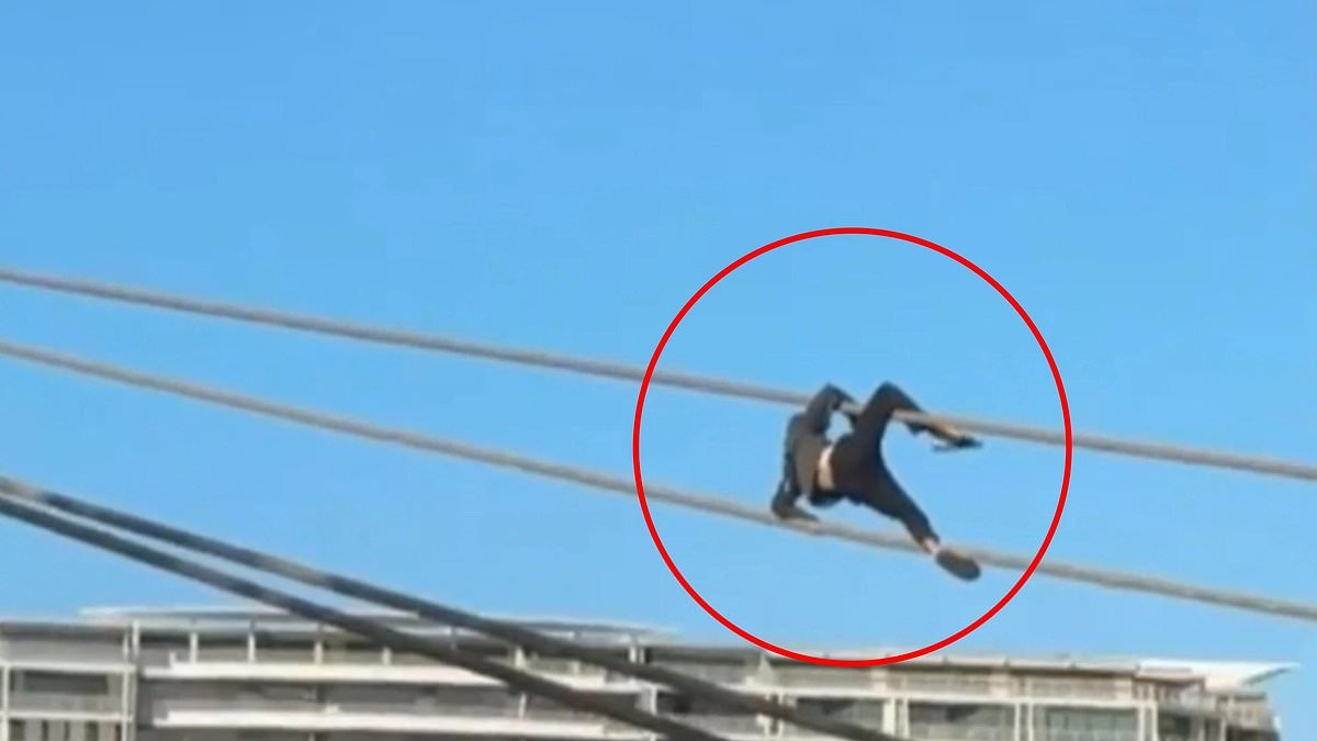 Daredevil is charged after footage emerges of idiotic stunt in Sydney Harbour