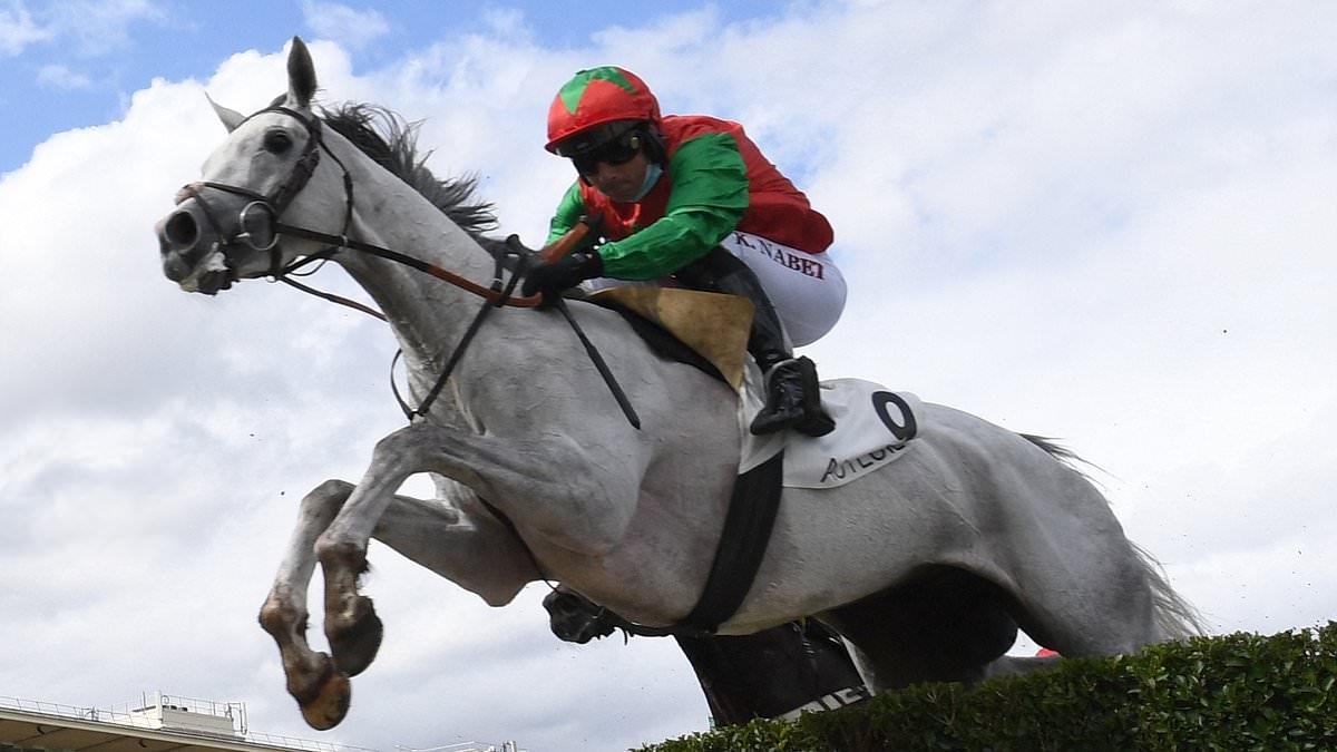 Jockey goes 'horse skating' as French rider clings onto two foals at once after falling off favourite during jump