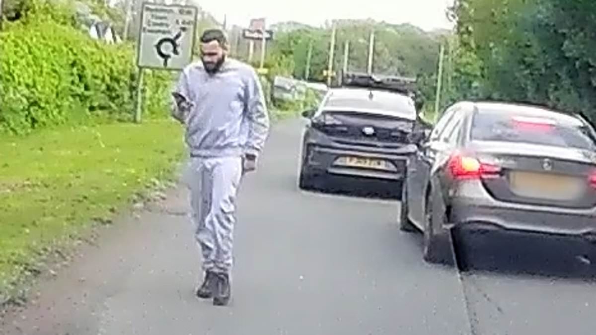 Moment uninsured learner driver runs away after killing a woman in a head-on crash as he is jailed for 11 years