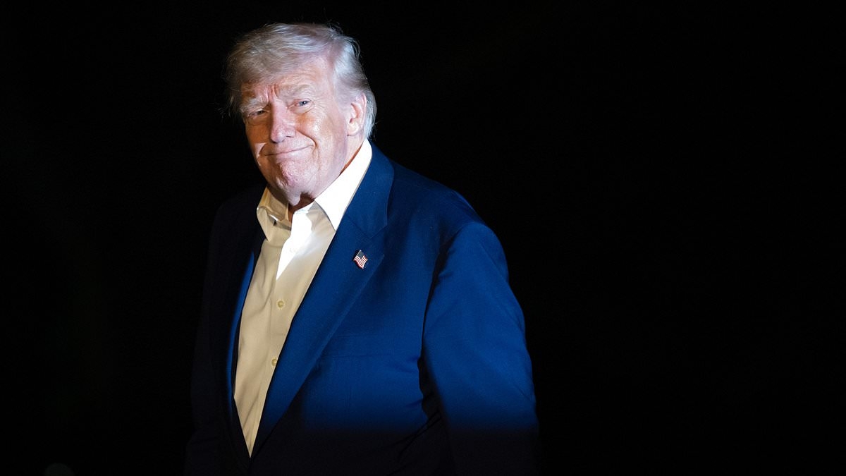 Donald Trump shares shocking theory about Clinton 'assassinations'