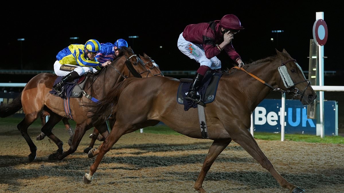 Robin Goodfellow's racing tips: Best bets for Tuesday, May 20