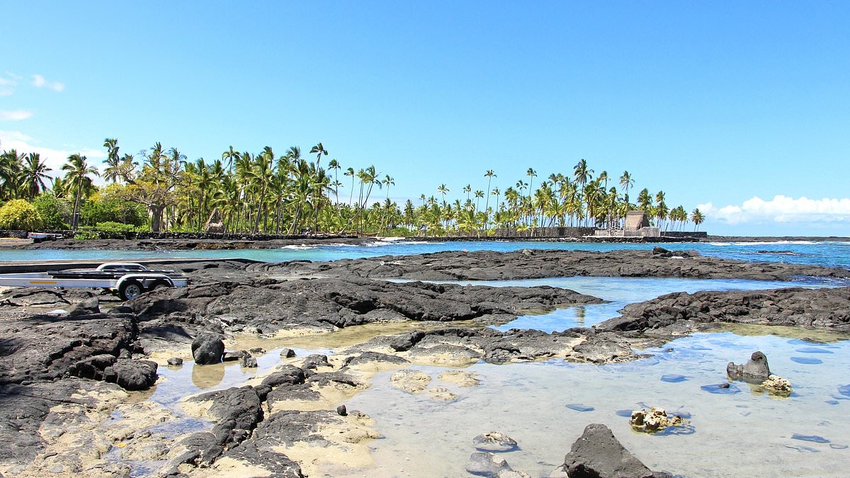 Scientists warn of possible 1,000ft tsunami risking US coastal areas