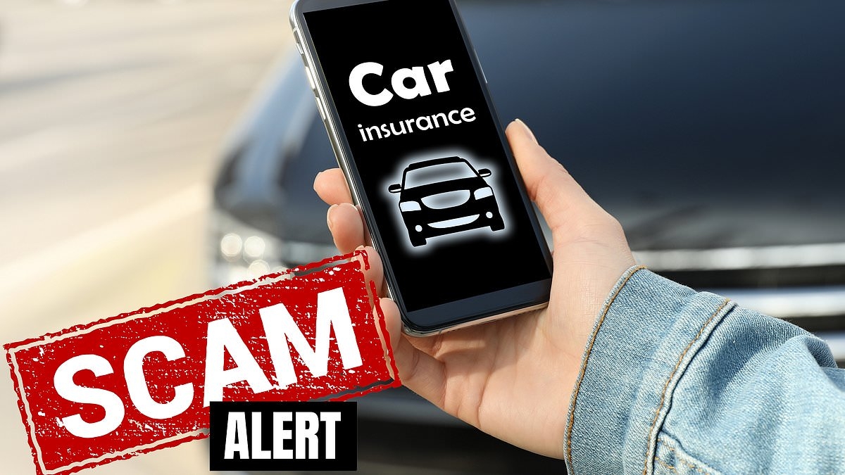 Young drivers increasing target of this insurance scam with cases jumping 50% in two years