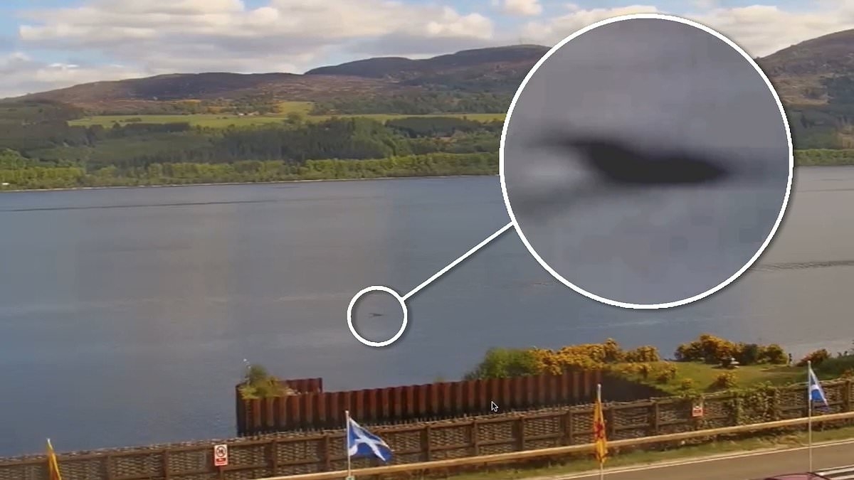 Man stunned as 'baby' Loch Ness Monster is spotted