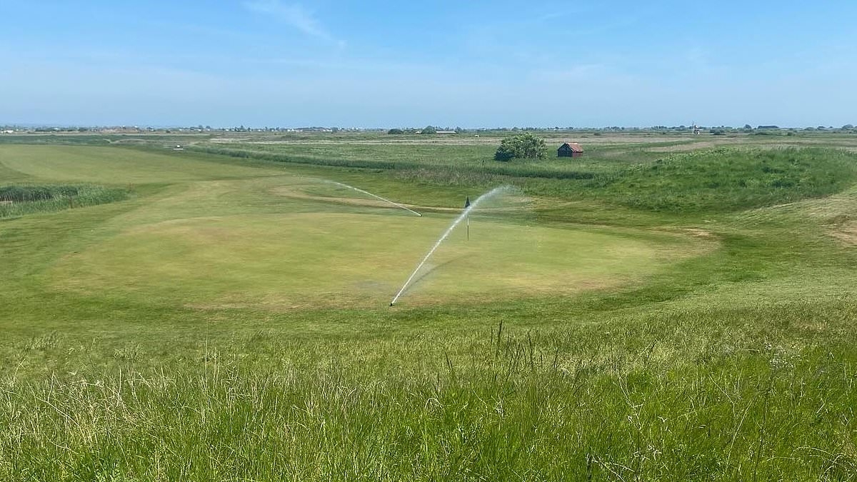 Families living near golf driving range scared to leave their homes over bombardment of 'balls coming out of the sky'