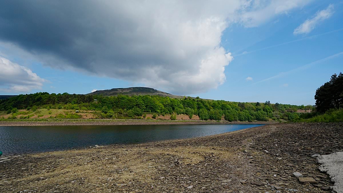 Brits urged to take shorter showers to avoid hosepipe bans as country's dry spell sparks drought fears… while water bills soar