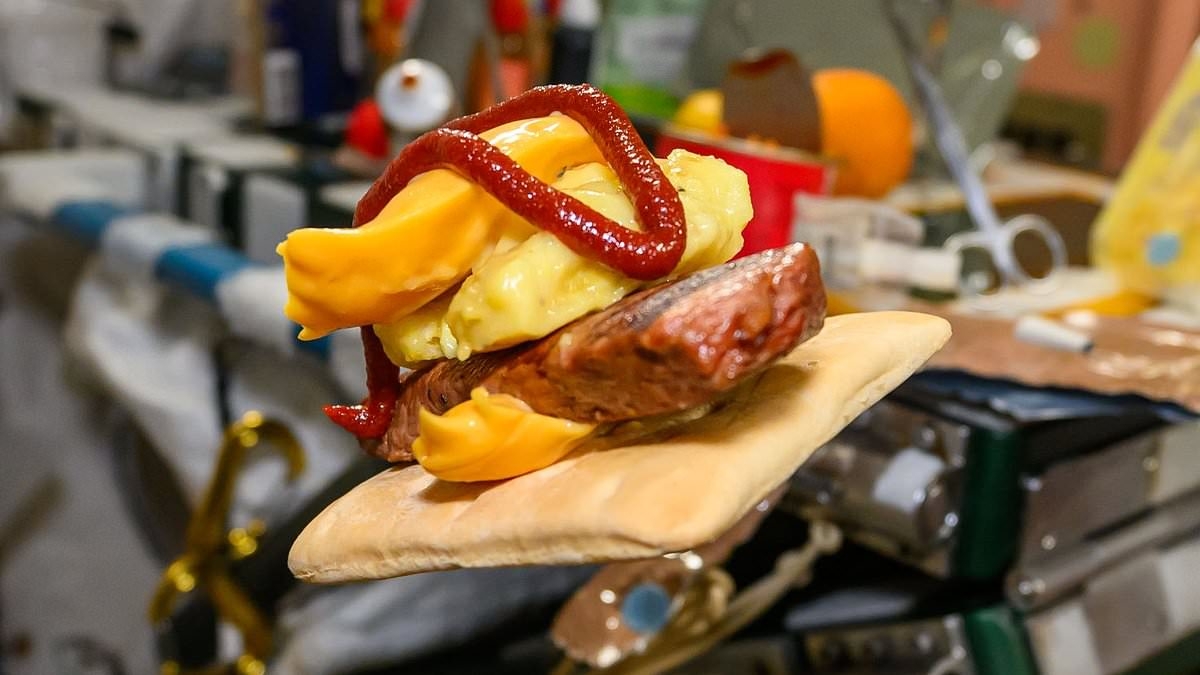 NASA astronaut on board the ISS shares his take on a popular fast-food item - so, can YOU tell what it's meant to be?