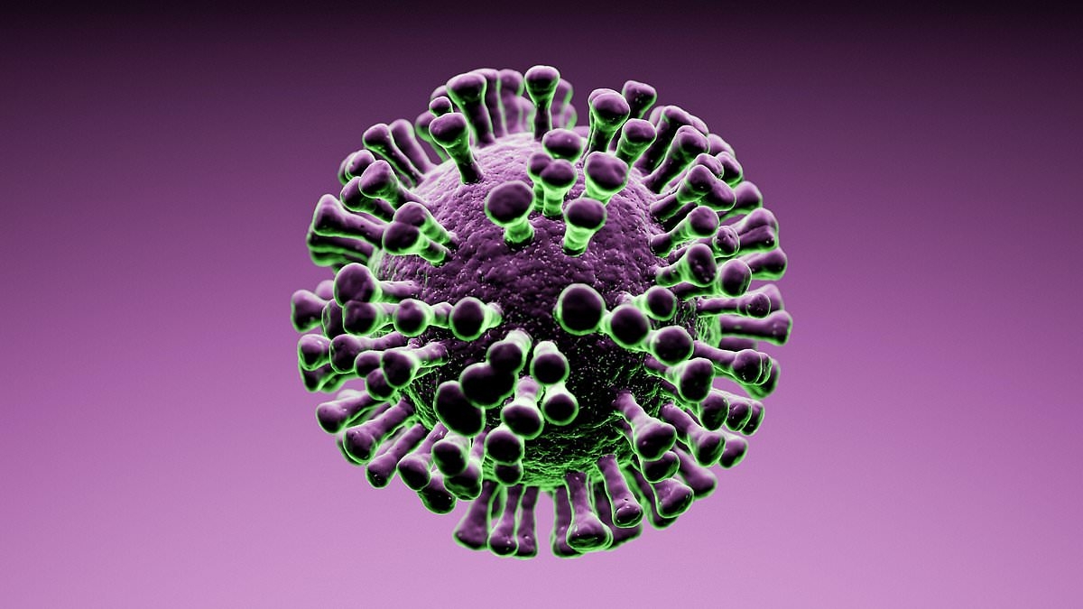 Officials warn it's 'a matter of time' before highly contagious virus spreads through the UK