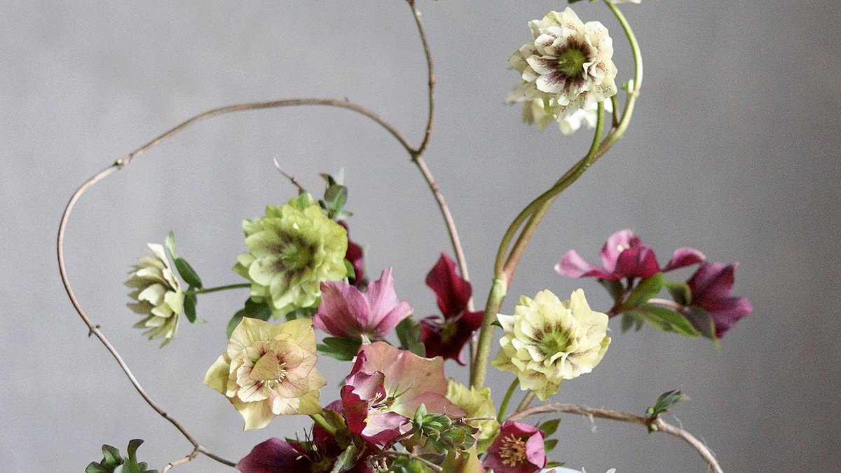 THE GREEN GUIDE: How sustainable is this flower delivery service?