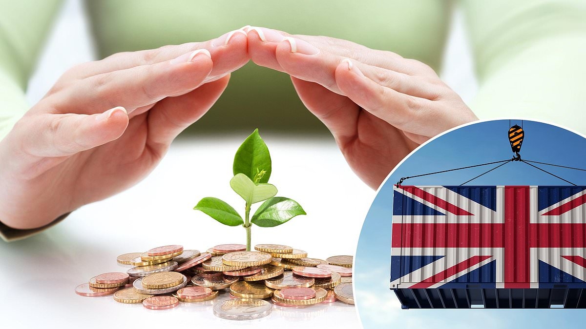 How to tariff-proof your investments: These six UK stocks could be a safe haven