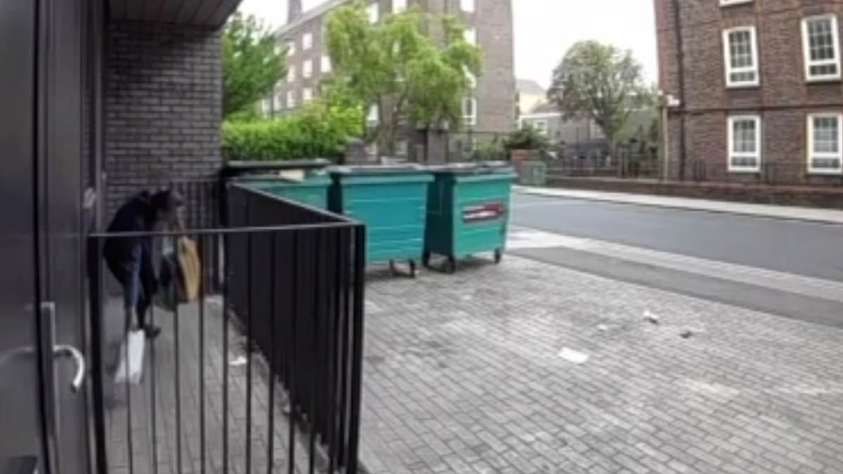 Moment female thief steals woman's &#163;200 jacket after careless Yodel driver left it 'safely delivered' in her front garden