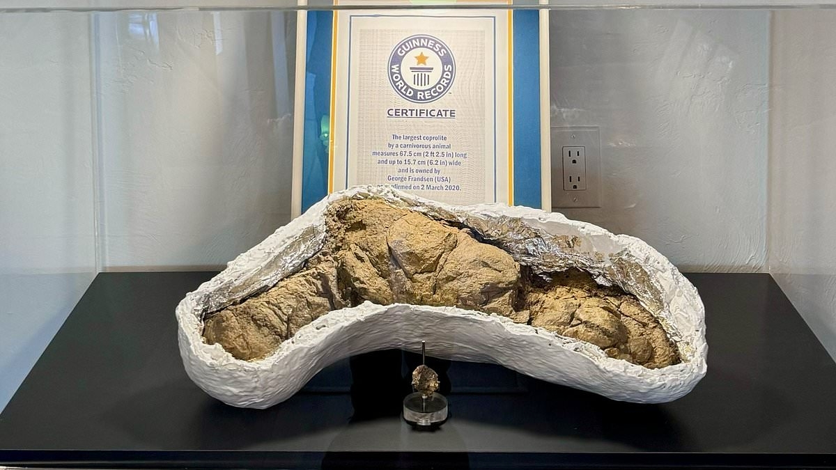 EXCLUSIVE BBC's Walking With Dinosaurs in fakery row as experts 'dig up' dino poo... that comes from museum 1,200 miles away