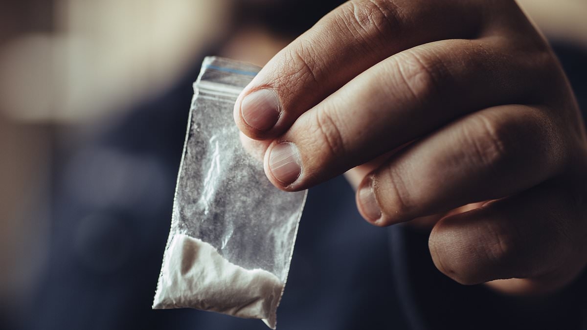 EXCLUSIVE 'It's much easier to smuggle a bag of cocaine into a football match than it is to carry a glass bottle...' Fears drug use is helping fuel fan violence and disorder