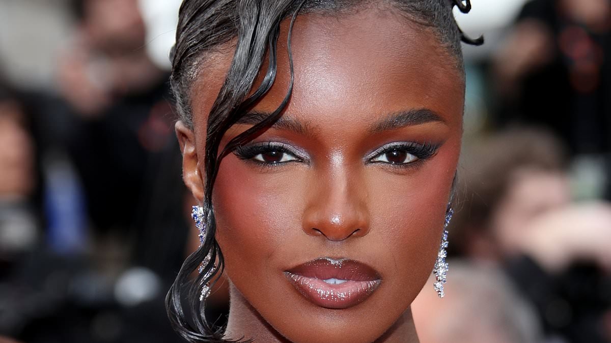Leomie Anderson risks breaking Cannes Film Festival's new stricter nudity rules as she poses in see-through mesh dress at premiere