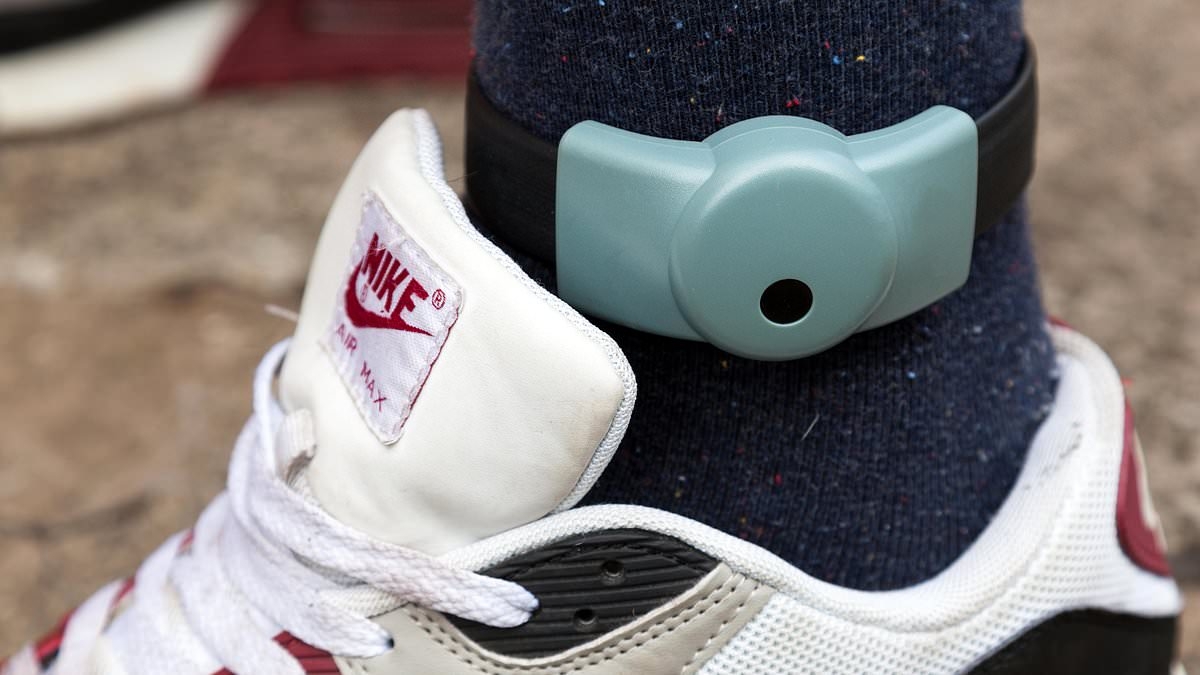 Britain 'investing in 30,000 more electronic tags for criminals' amid massive overhaul