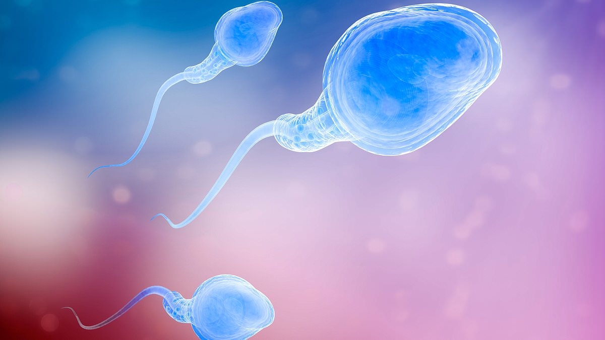ALL young men need regular sperm checks to identify thousands of cases of infertility, says leading reproductive expert