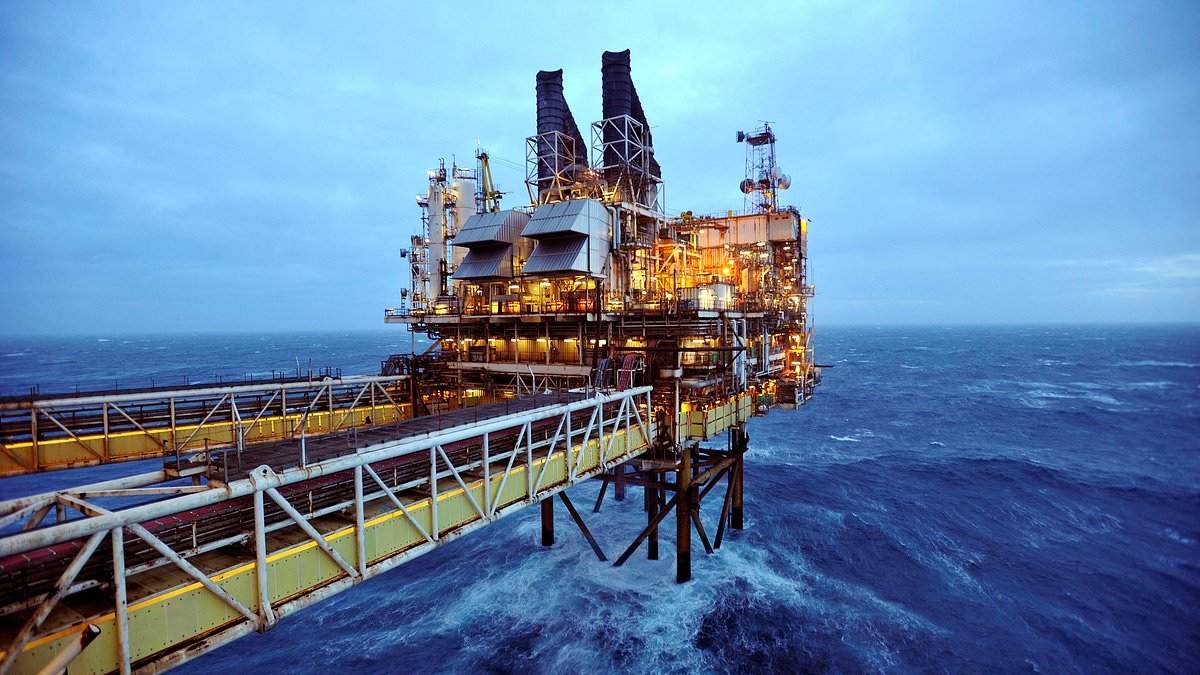 Windfall tax 'destroying' North Sea oil and threatening growth, analysts warn