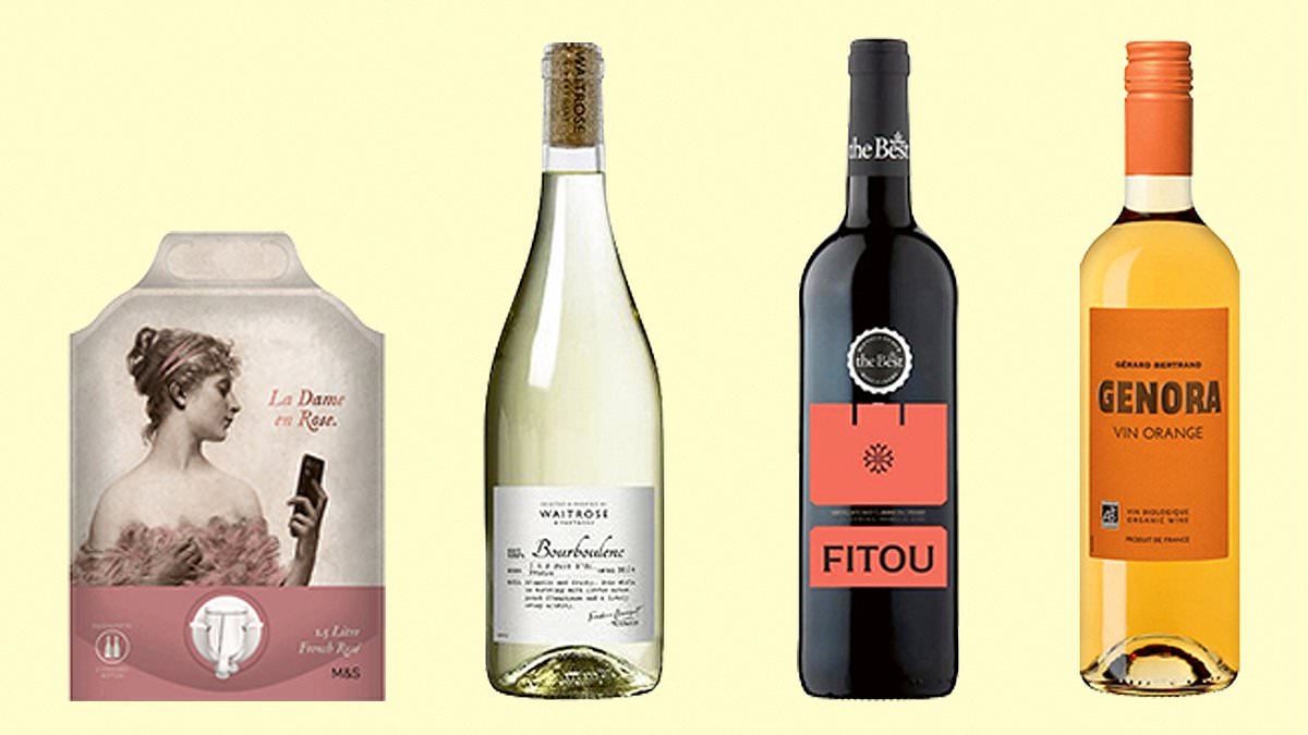 Our expert on the four best southern French wines, starting from just £8.50