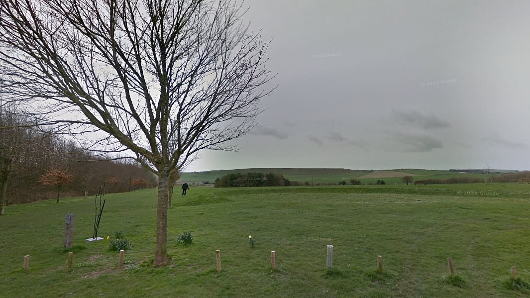 Teenage boys, 14, arrested on suspicion of raping girl, 12, in field outside a secondary school