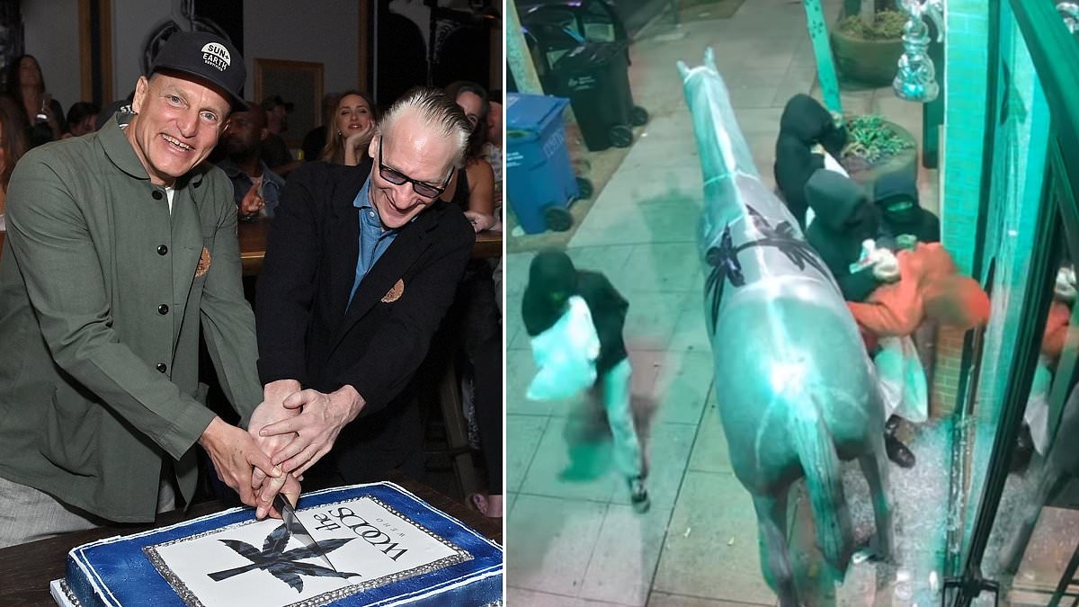 Woody Harrelson and Bill Maher's cannabis dispensary burglarized of $3K in merchandise