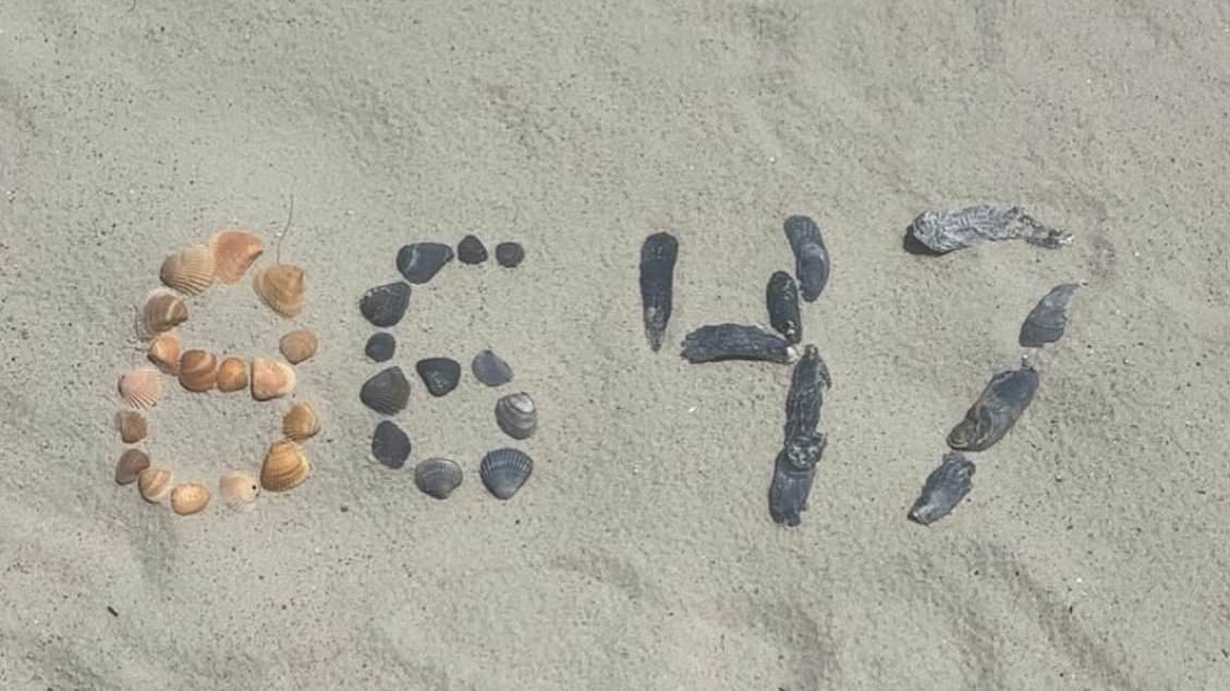 EXCLUSIVE James Comey's shell game: 'Threatening' post about Trump wasn't the only time he used a mollusk to send a message