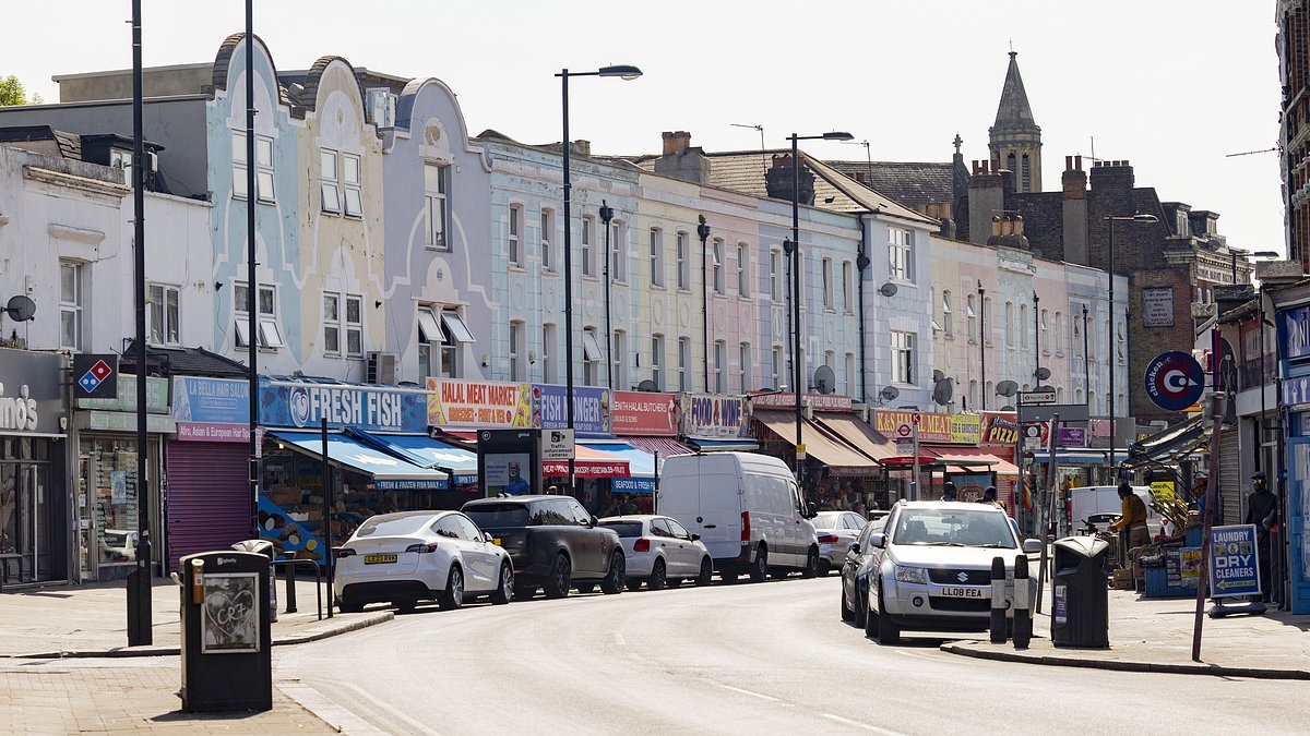 EXCLUSIVE Families living in up-and-coming London suburb where four-bedroom houses cost just £400k warn newcomers flocking to the area hoping for a deal about the MAJOR drawbacks