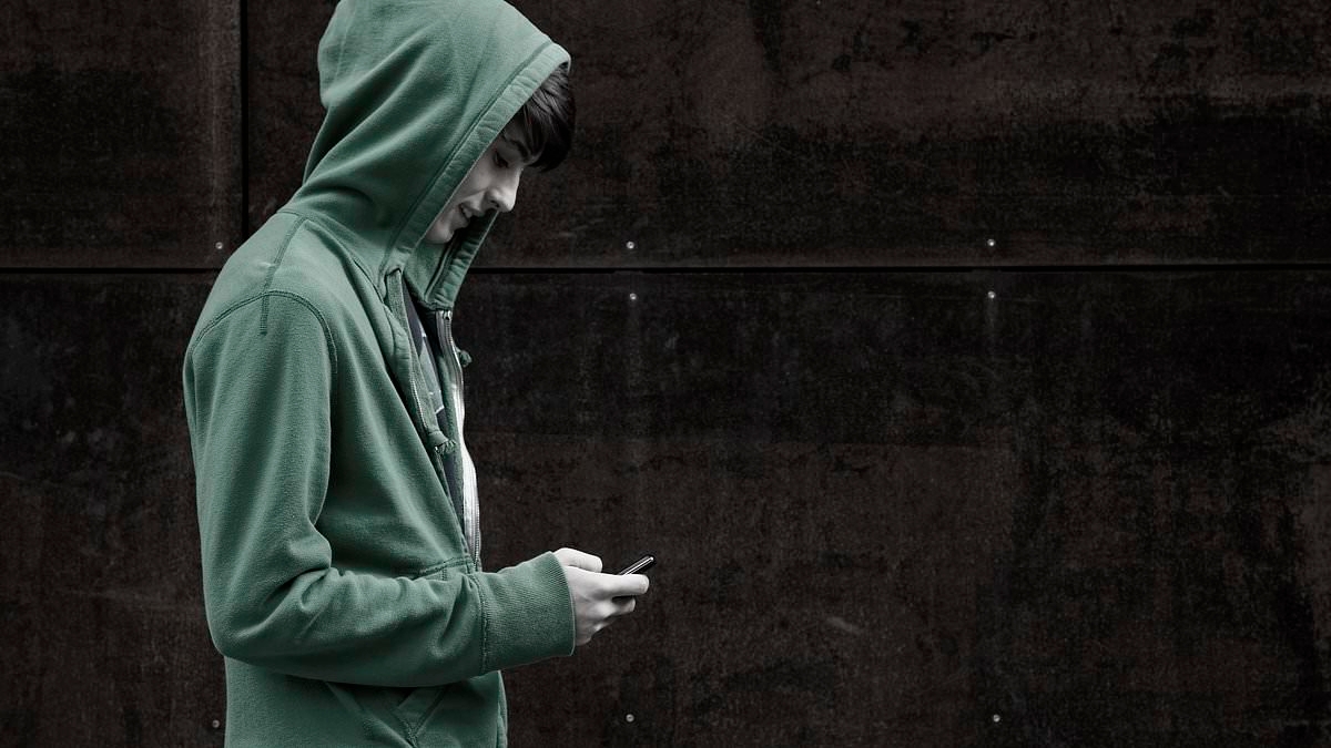 I loved Jack whom I adopted aged three. Then his drug-addicted family lured him back - and the violence began. Through shattering grief CATHERINE TAYLOR tells her family's nightmare... and the final unimaginable blow
