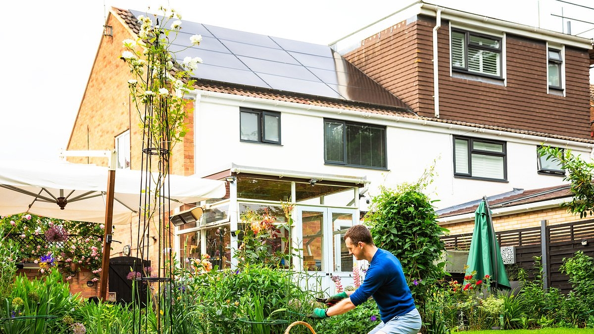 Considering getting solar panels for your home? From fitting to potential cost savings, here's what you need to know
