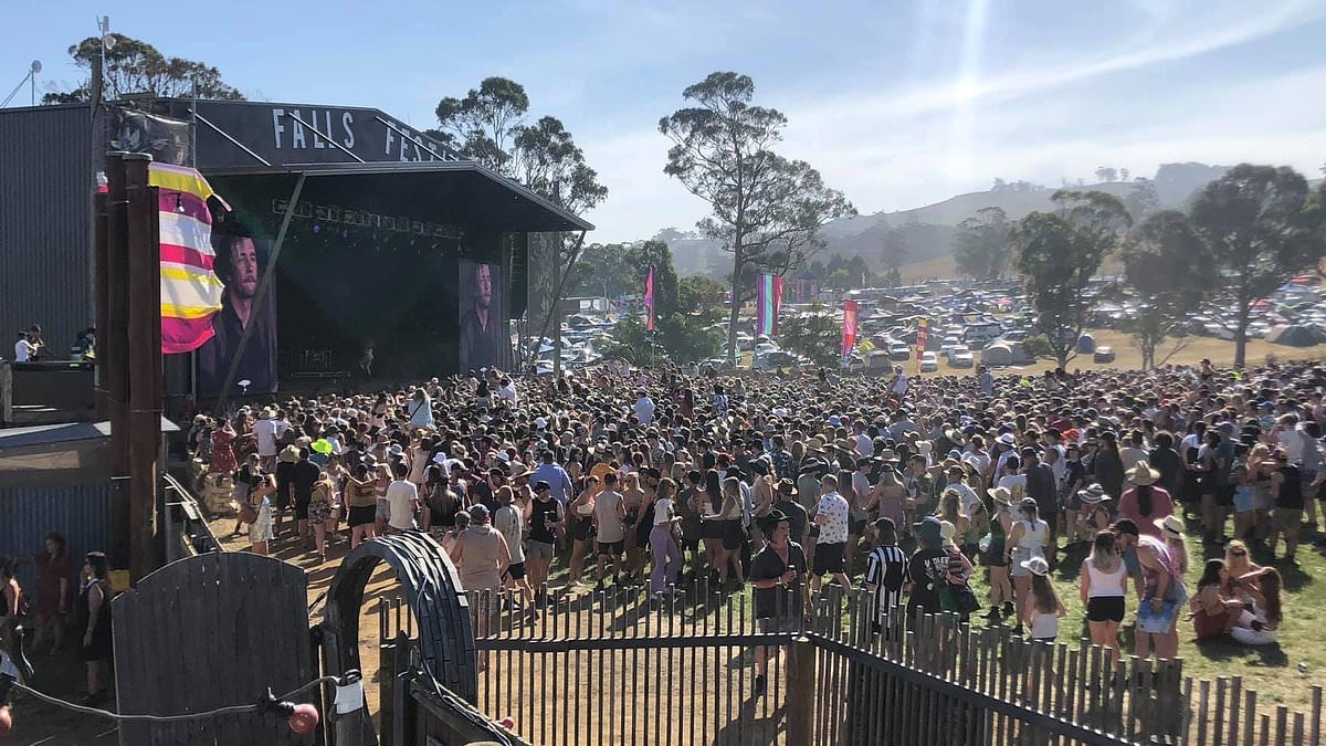 Iconic music festival site that hosted The Wiggles, Black Eyed Peas and Silverchair finds new owner after two-year ordeal
